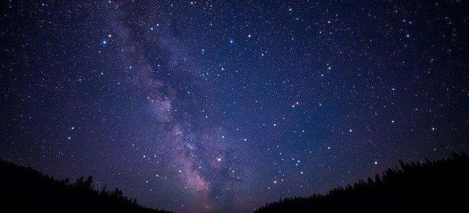 Год Быка: что обещают звезды? Гороскоп для всех знаков Зодиака