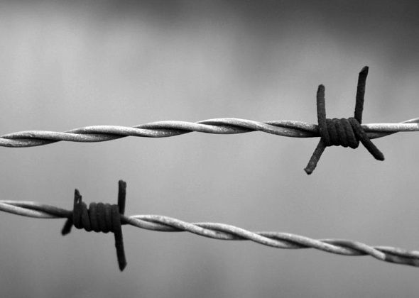 Общественный наблюдатель Ольга Вековшинина попросила СК проверить врачей из сосьвинской колонии