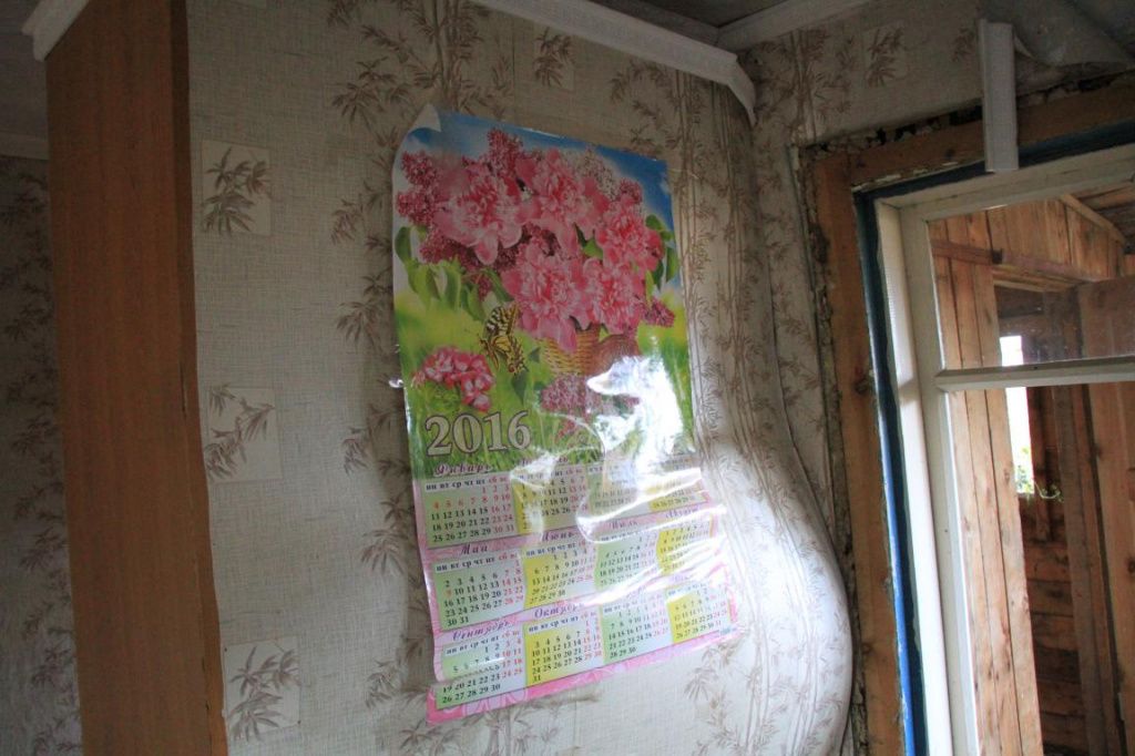Фото: Константин Бобылев, "Глобус"