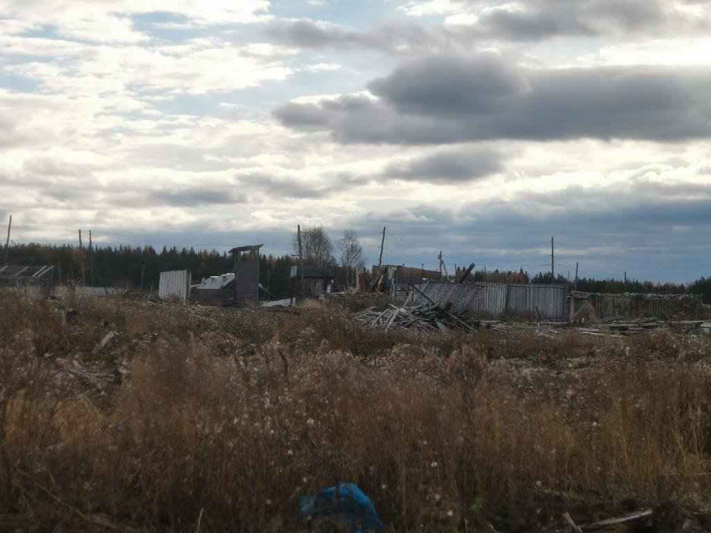 Фото: Константин Бобылев, "Глобус"